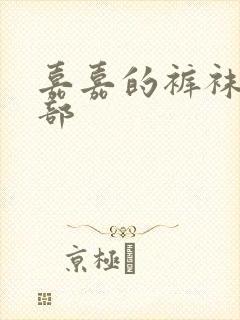 嘉嘉的裤袜第二部