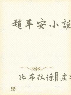 赵平安小说主角