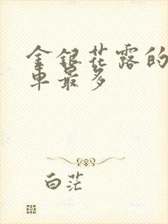 金银花露的哪个车最多