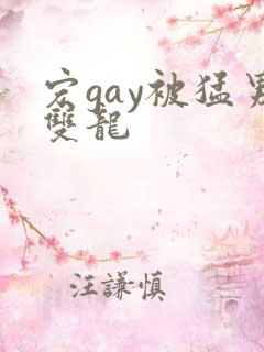 宏gay被猛男双龙