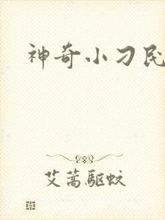 神奇小刁民