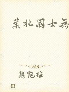 叶北国士无双