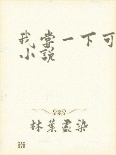 我尝一下可以吗小说