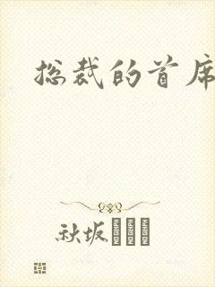 总裁的首席保姆