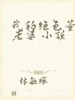 我的绝色董事长老婆 小说