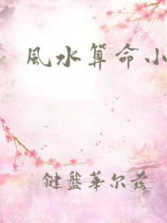 风水算命小说