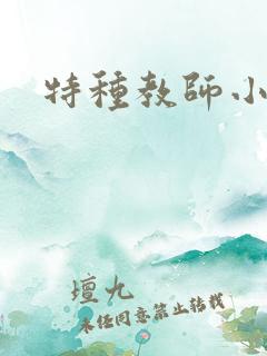 特种教师小说