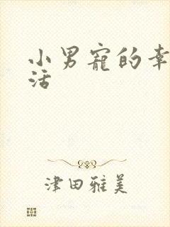 小男宠的幸福生活