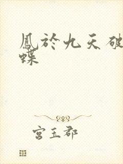 凤于九天破茧成蝶