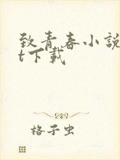 致青春小说txt下载