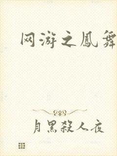 网游之凤舞九天