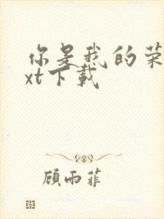 你是我的荣耀txt下载