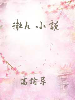 微h 小说
