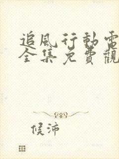 追风行动电视剧全集免费观看