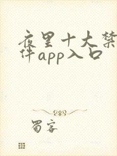 夜里十大禁用软件app入口