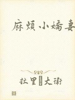 麻烦小娇妻
