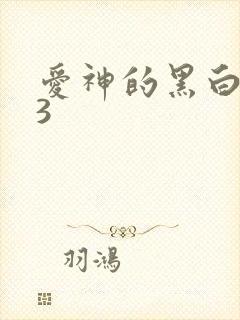 爱神的黑白羽翼3