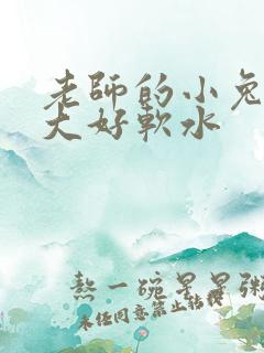 老师的小兔子好大好软水