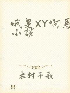 哦是XY啊马仔小说