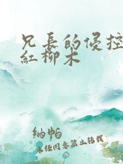 兄长的侵控by红柳木