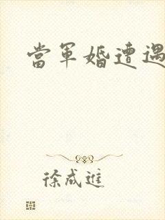 当军婚遭遇爱情