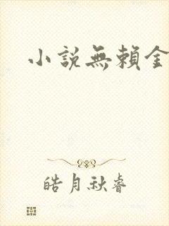 小说无赖金仙