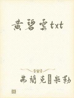 黄碧云txt