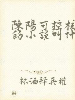 陈阳可控核聚变的小说叫什么名字