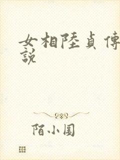 女相陆贞传奇小说