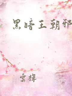 黑暗王朝邪恶版