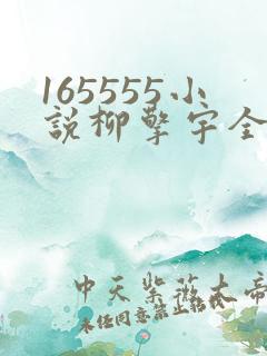 165555小说柳擎宇全文阅读免费版