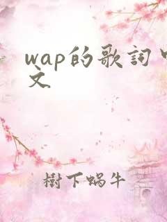wap的歌词中文