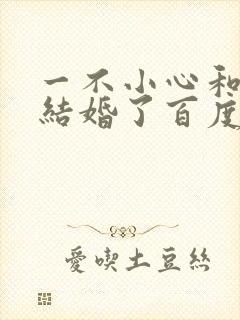 一不小心和醋精结婚了百度云