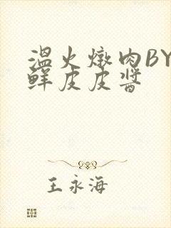 温火炖肉BY海鲜皮皮酱