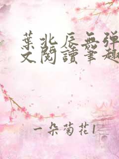 叶北辰无弹窗全文阅读笔趣阁