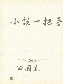 小说一把手