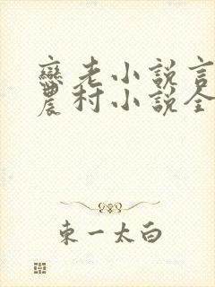 恋老小说言情网农村小说全文阅读