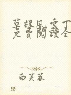 草根风云丁长生免费阅读全本