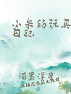 小米的玩具羞辱日记