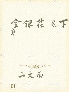 金银花《下厨房》