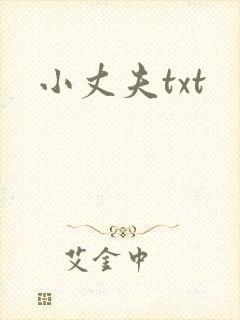 小丈夫txt