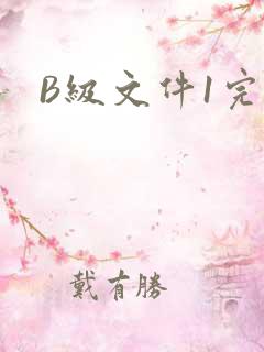 B级文件1完整