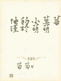 他的小草莓沈修瑾于萌萌