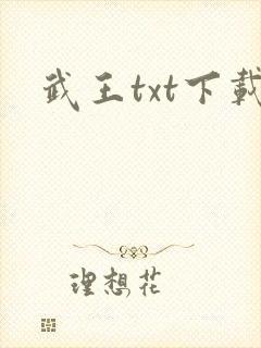 武王txt下载