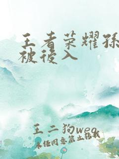 王者荣耀孙尚香被后入