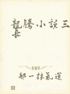 龙腾小说三宝局长