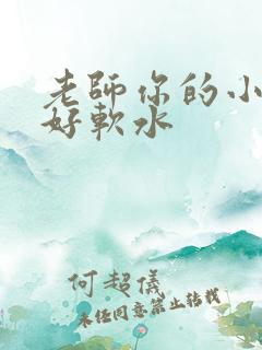 老师你的小兔子好软水