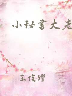 小秘书大老婆