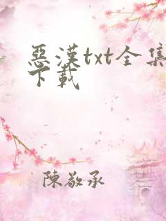 恶汉txt全集下载