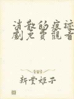 消散的痕迹电视剧免费观看完整版